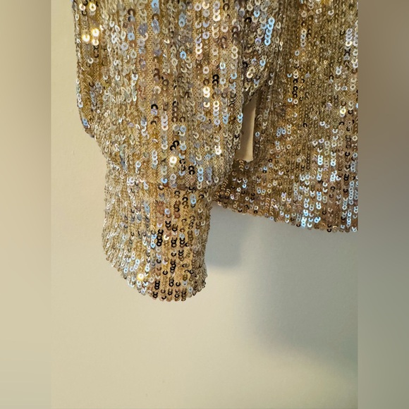 NWT Alexia Admor Size L Sequin Blouse - Picture 5 of 12
